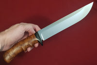 # B-035. Hunting knife. 8.5". D2. 62 HRC. Micarta Guard. Roasted Bird's Eye Maple.